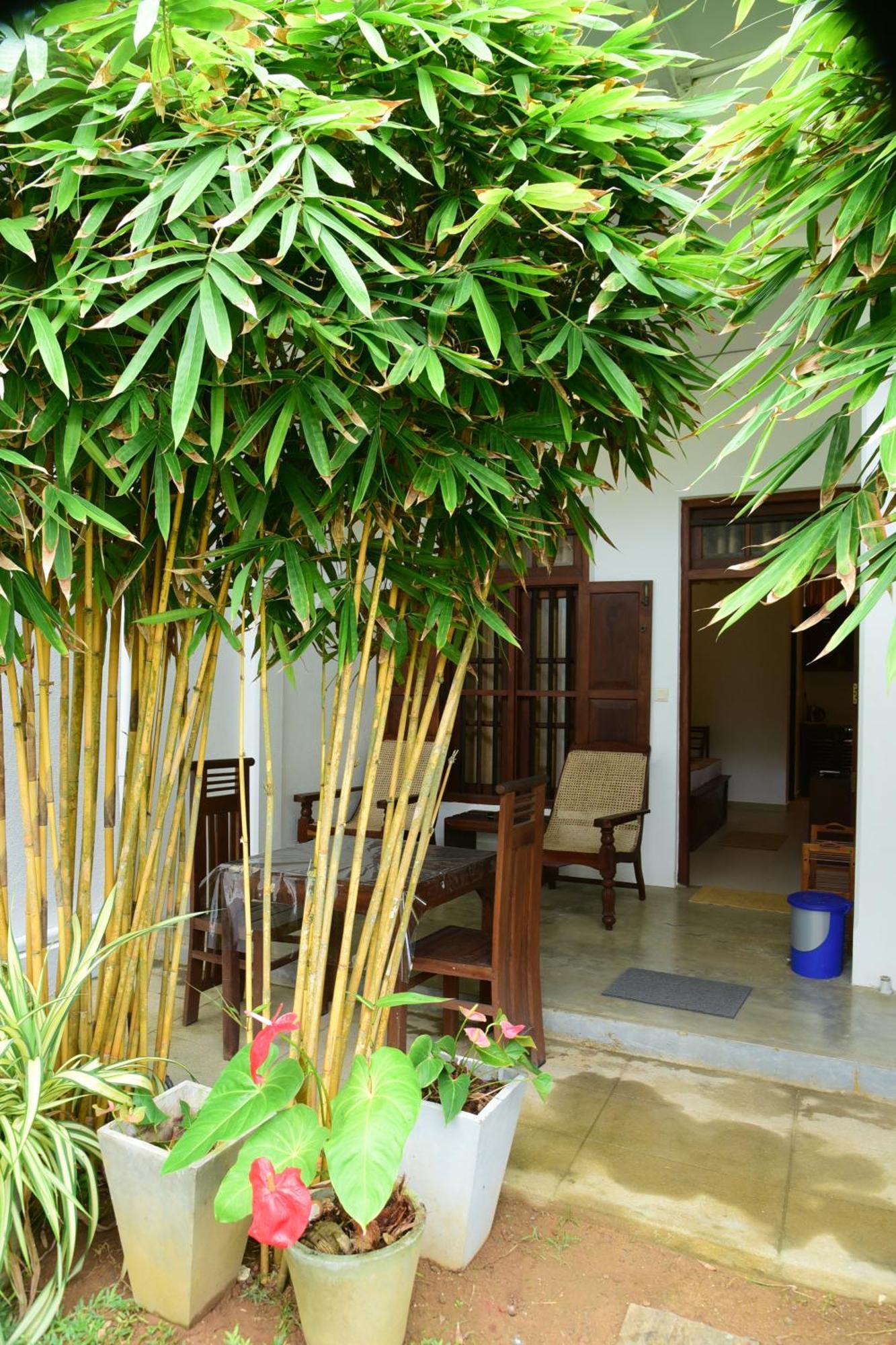 Tranquil Hotel Hikkaduwa Exterior foto